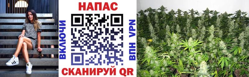 Шишки марихуана LSD WEED  закладки  Партизанск 